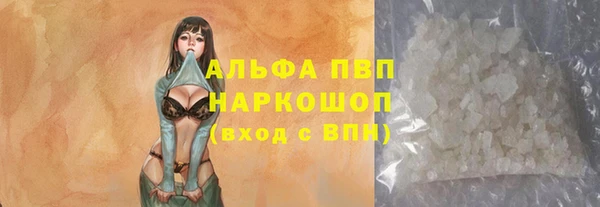 стаф Козловка